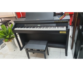 ĐÀN PIANO ĐIỆN CASIO CELVIANO AP-700