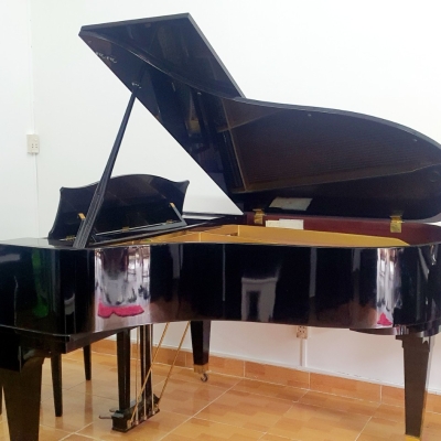 ĐÀN PIANO DIAPSON 183E