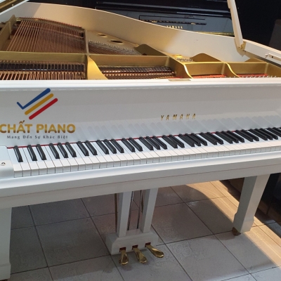 ĐÀN GRAND PIANO YAMAHA G2