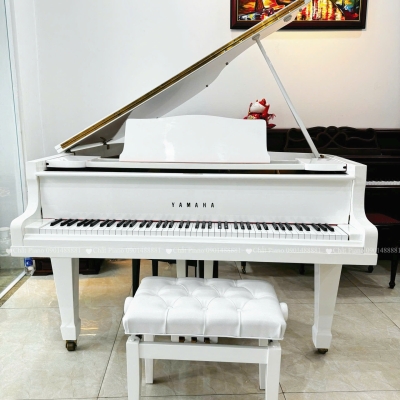 ĐÀN PIANO GRAND G2
