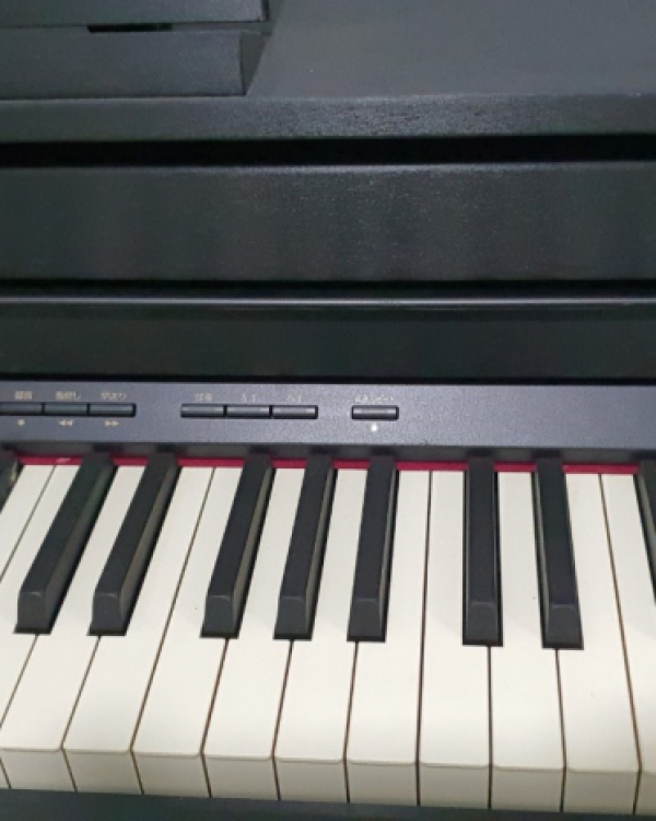 ĐÀN ROLAND HP 505