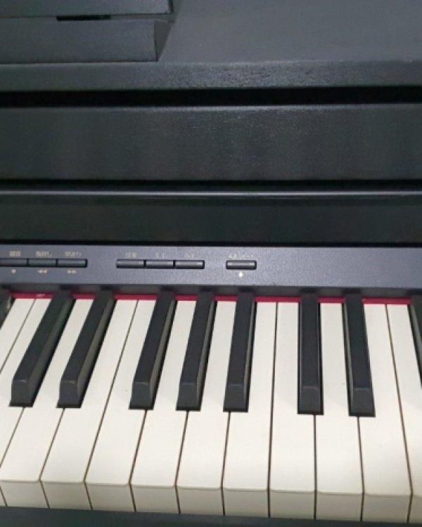 ROLAND HP 505