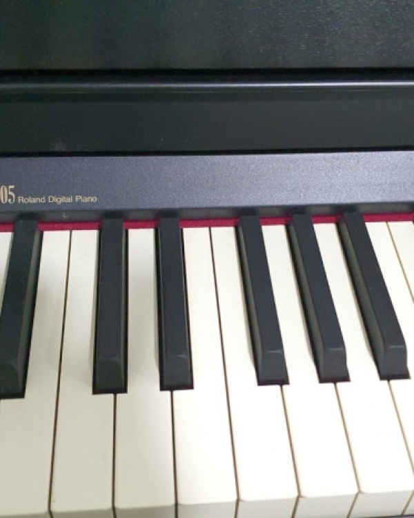 ROLAND HP 505