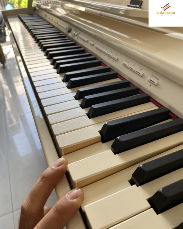 ĐÀN PIANO ROLAND DP90WHPE                                      