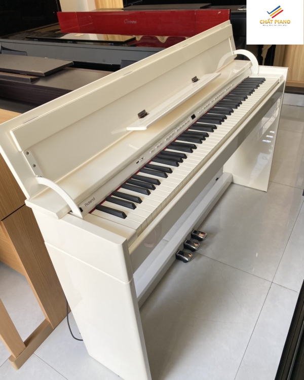 ĐÀN PIANO ROLAND DP90WHPE                                      