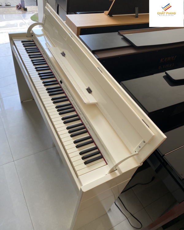 ĐÀN PIANO ROLAND DP90WHPE                                      