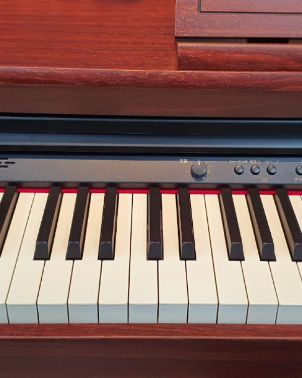 ĐÀN PIANO ROLAND HP205GB