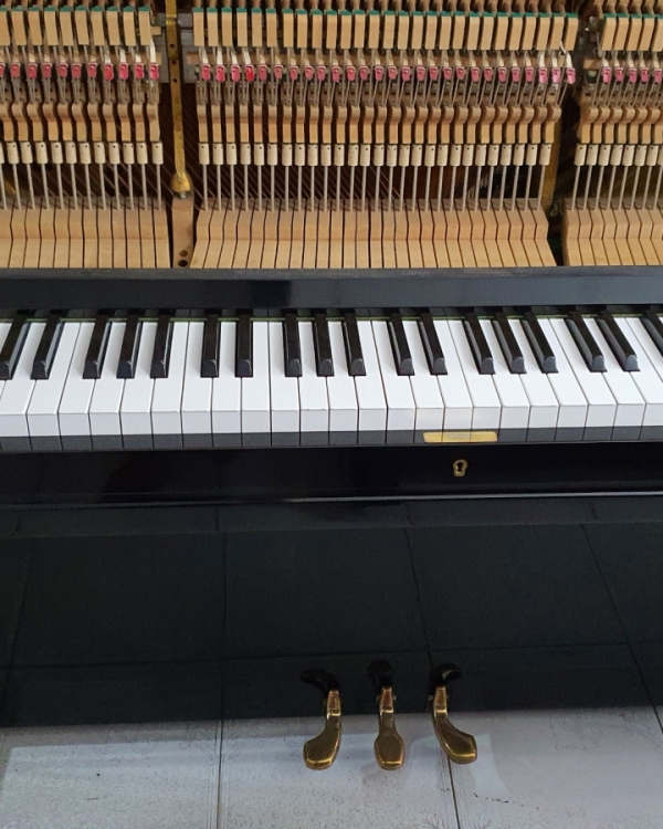 Yamaha u3F