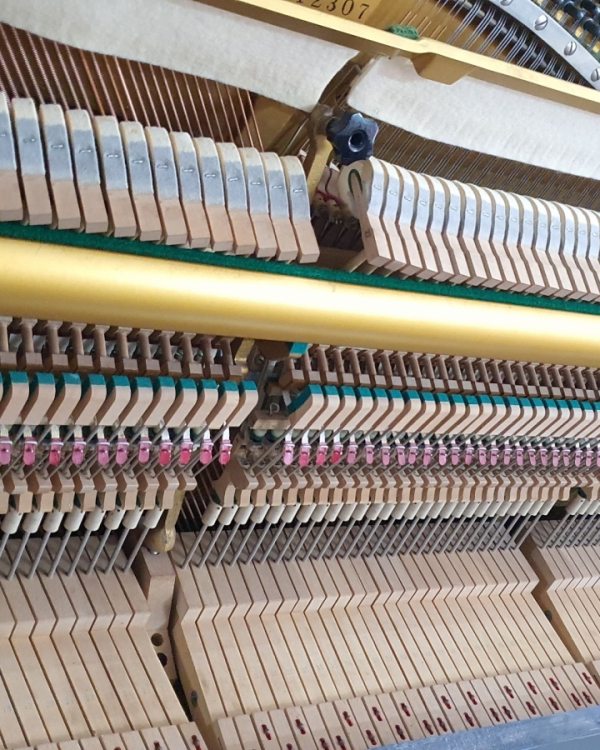 Yamaha u3F