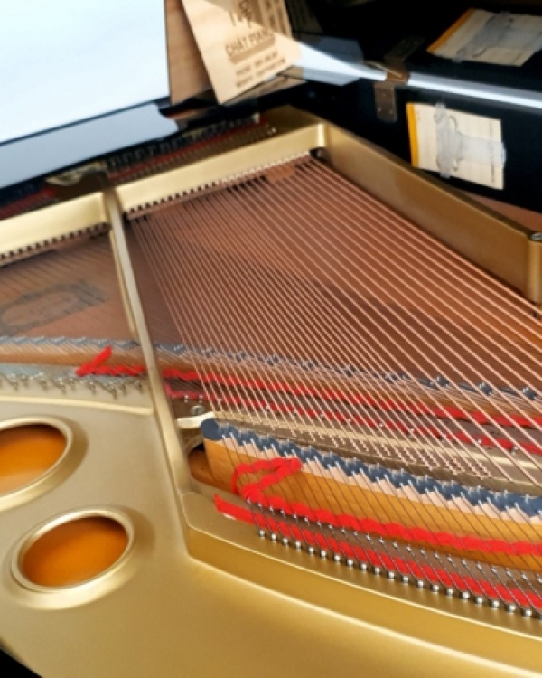 YAMAHA G5E