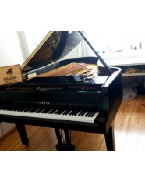 YAMAHA G5E