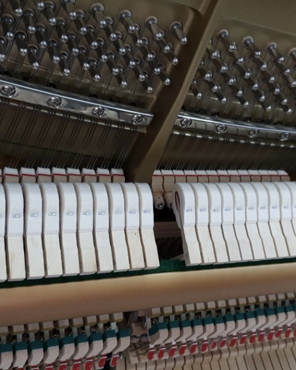 YAMAHA U1J