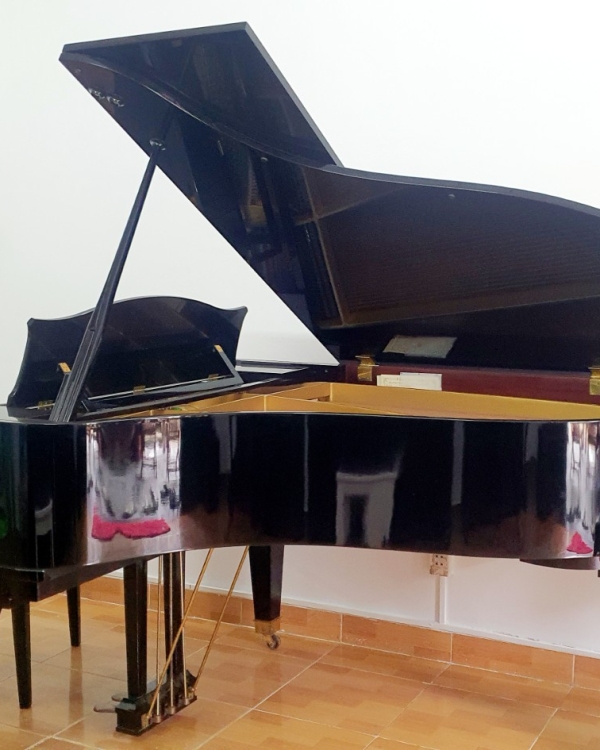 PIANO DIAPSON 183E