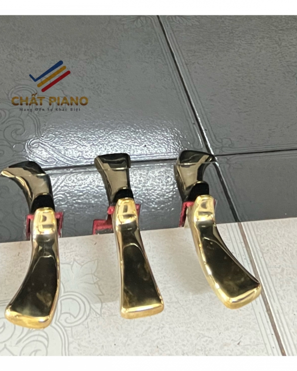 ĐÀN YAMAHA U30BL