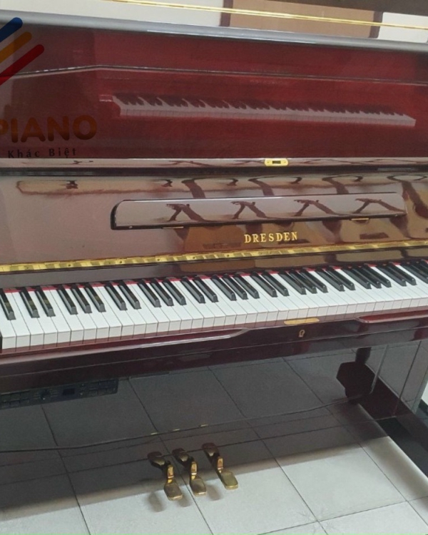 ĐÀN DRESDEN D-801 DX