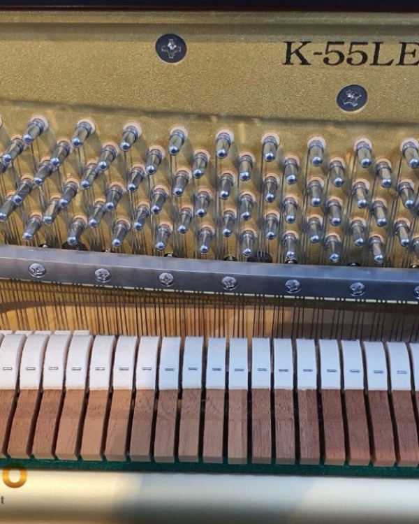 ĐÀN KAWAI K-55LE