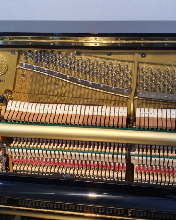 ĐÀN KAWAI K-55LE