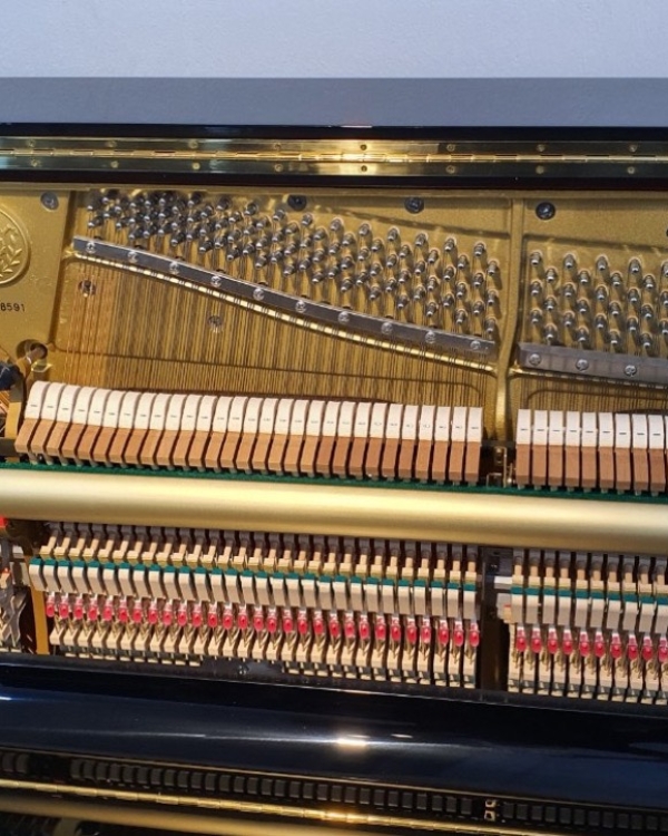 KAWAI K-55LE