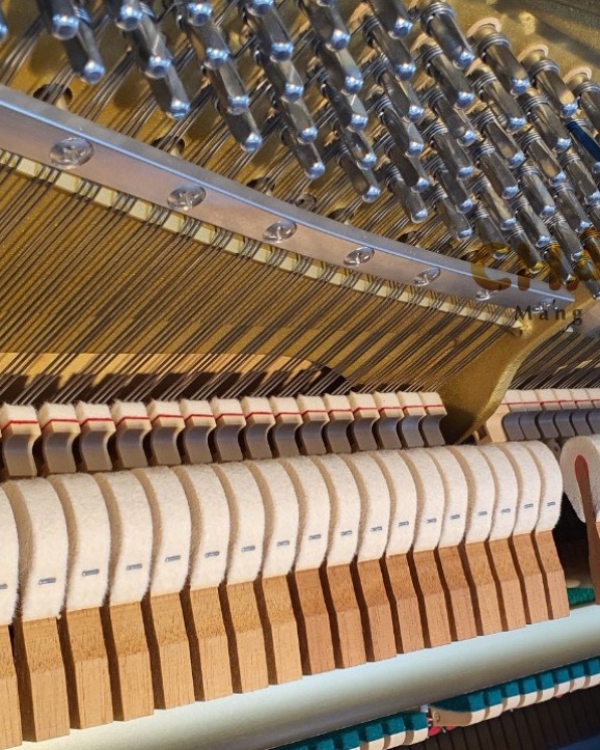 ĐÀN KAWAI K-55LE