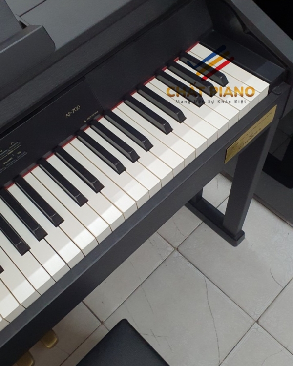 ĐÀN PIANO ĐIỆN CASIO CELVIANO AP-700