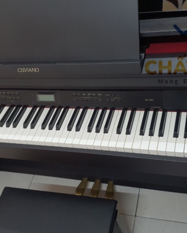 ĐÀN PIANO ĐIỆN CASIO CELVIANO AP-700