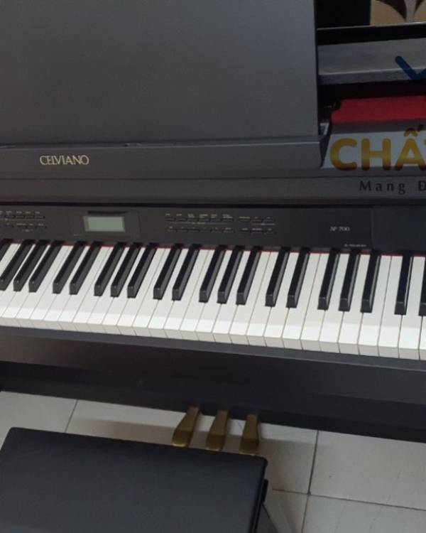 ĐÀN PIANO ĐIỆN CASIO CELVIANO AP-700