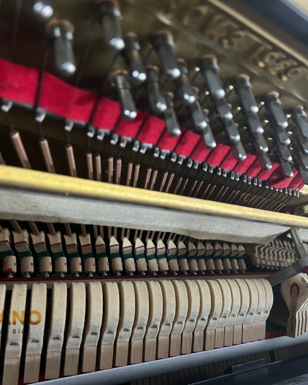 ĐÀN PIANO SCHWESTER NO.51
