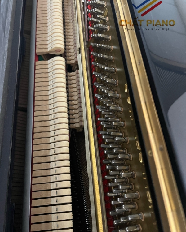 ĐÀN PIANO SCHWESTER NO.51