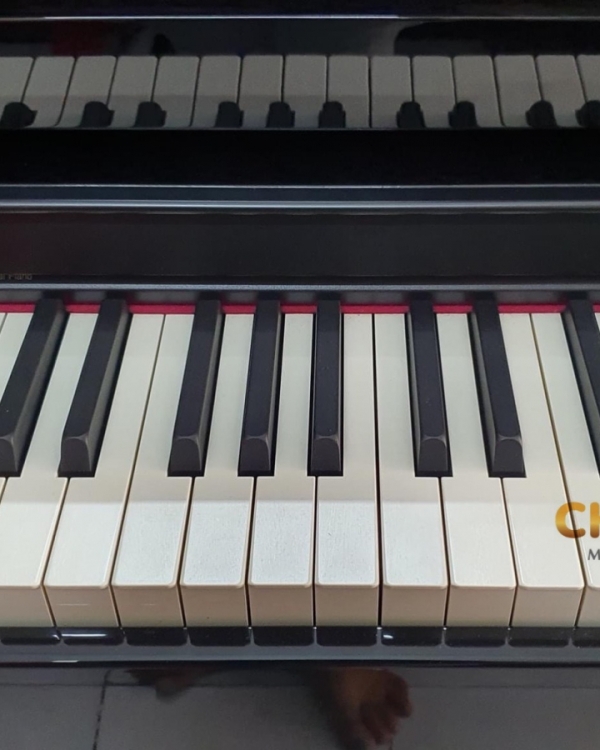 ĐÀN PIANO ĐIỆN ROLAND HP505