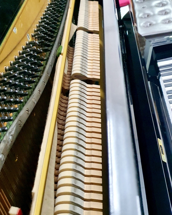 Yamaha u3g