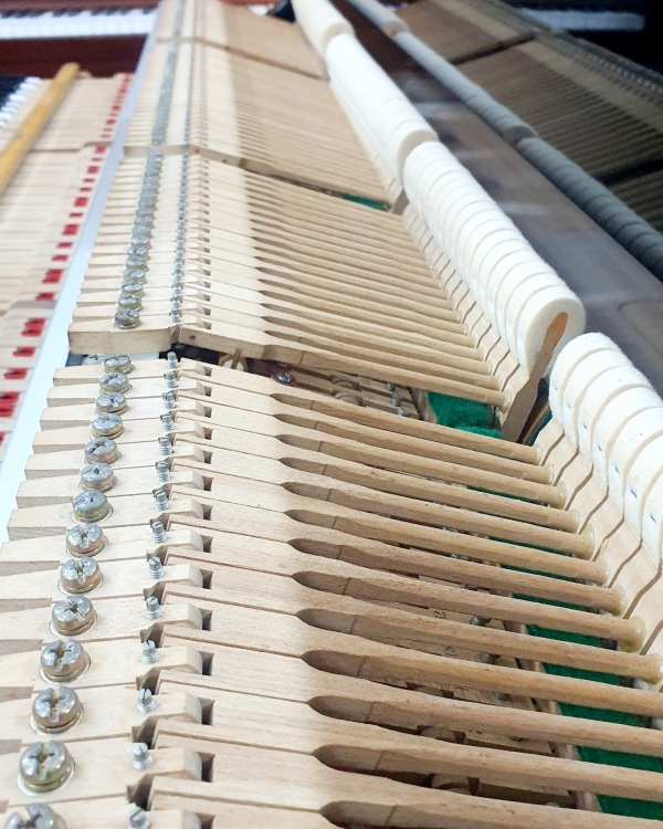 PIANO GRAND KAWAI KG-5D