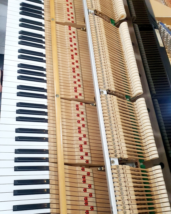 ĐÀN PIANO GRAND KAWAI KG-5D