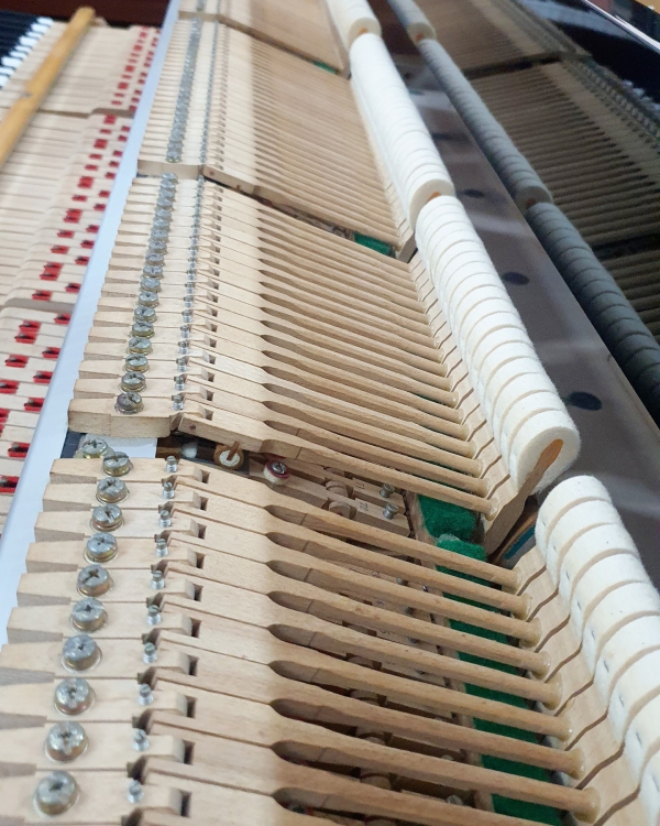 ĐÀN PIANO GRAND KAWAI KG-5D