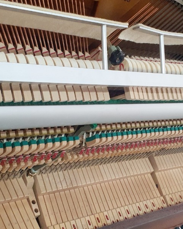 ĐÀN PIANO ROLEX SAGANO
