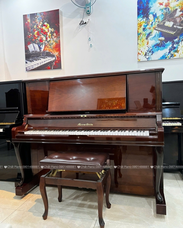  ĐÀN PIANO BERNSTEIN BU55
