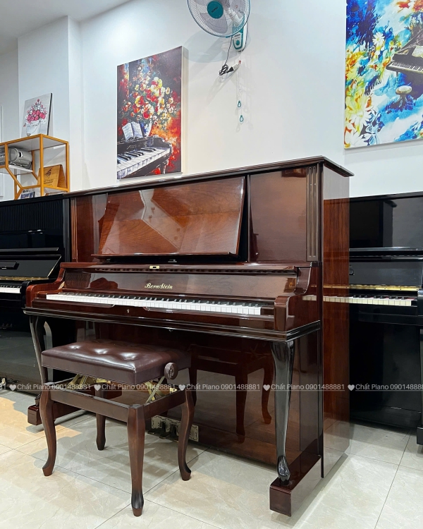  ĐÀN PIANO BERNSTEIN BU55