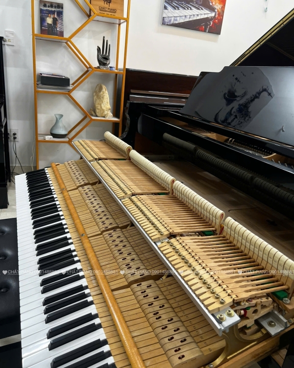 ĐÀN PIANO GRAND KAWAI KG-5C