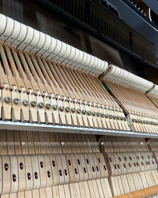 ĐÀN PIANO GRAND KAWAI KG-5C