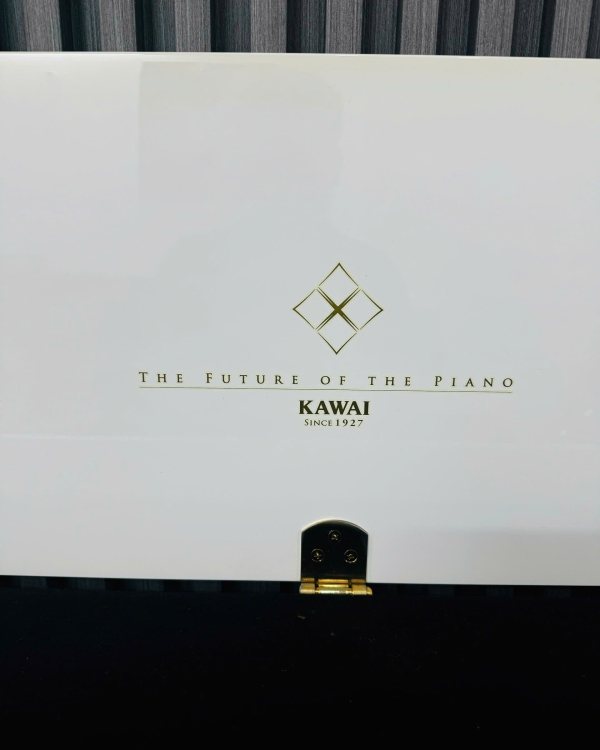 Đàn Piano Kawai K-200 
