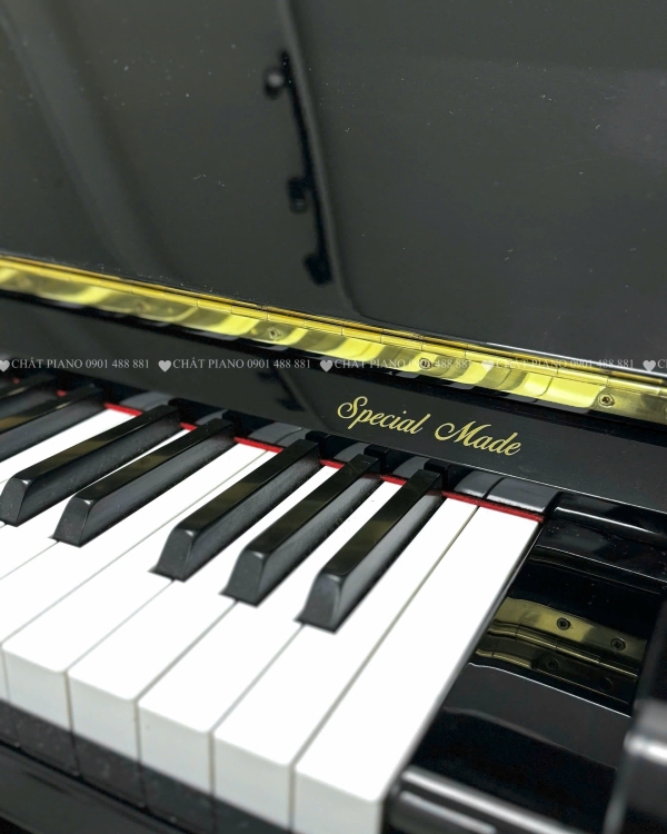 ĐÀN PIANO KAWAI DS-5E L