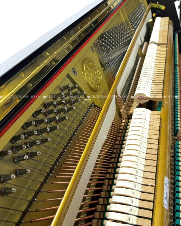 ĐÀN PIANO KAWAI DS-5E L