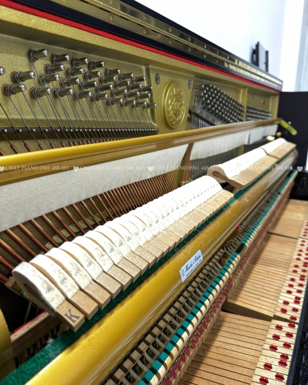 ĐÀN PIANO KAWAI DS-5E L