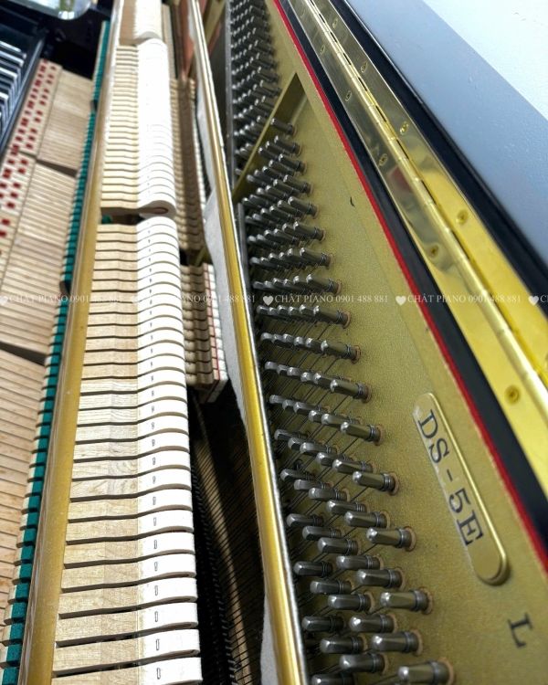 ĐÀN PIANO KAWAI DS-5E L