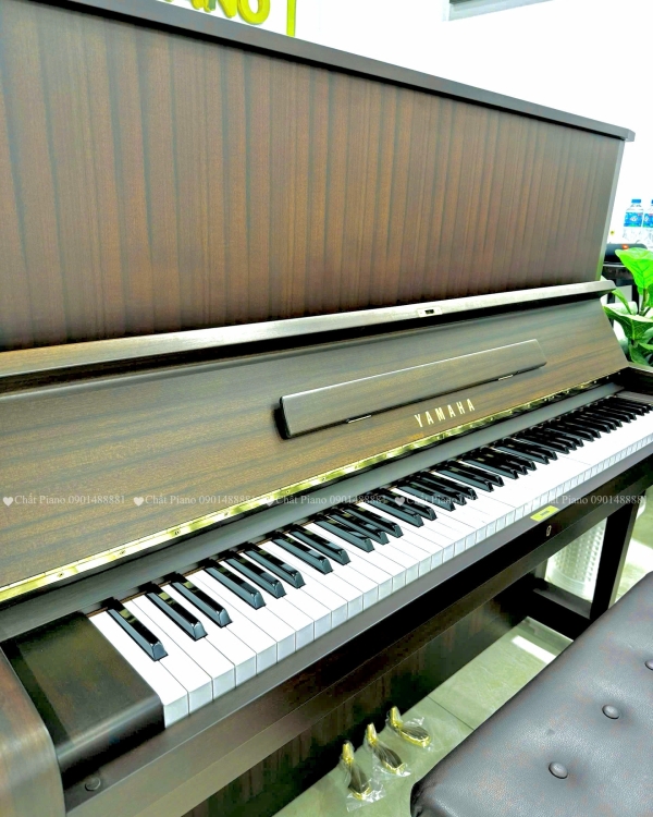 Đàn Yamaha U5C