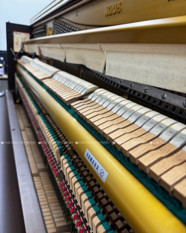 Đàn Yamaha U5C