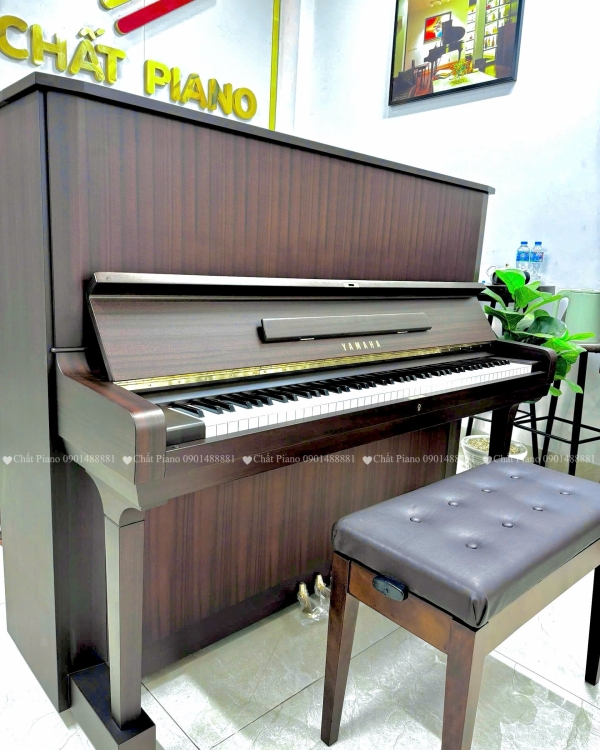Đàn Yamaha U5C