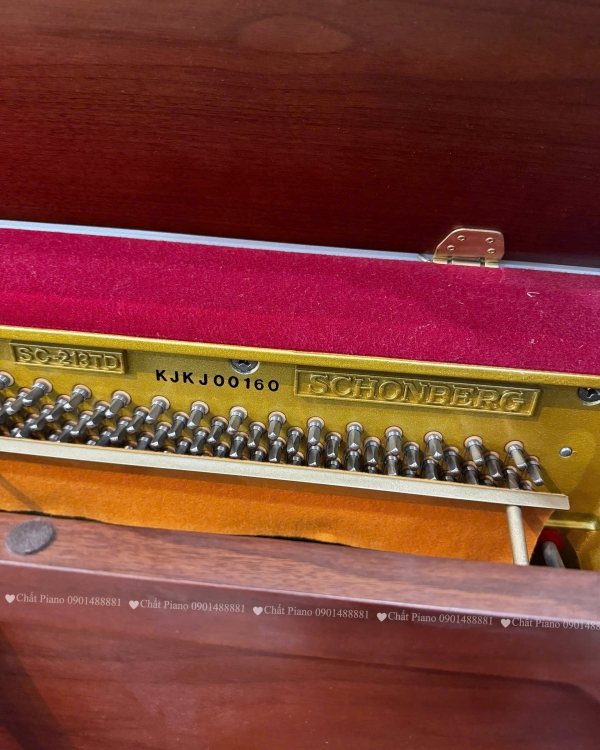 ĐÀN PIANO UPRIGHT SCHONBERG