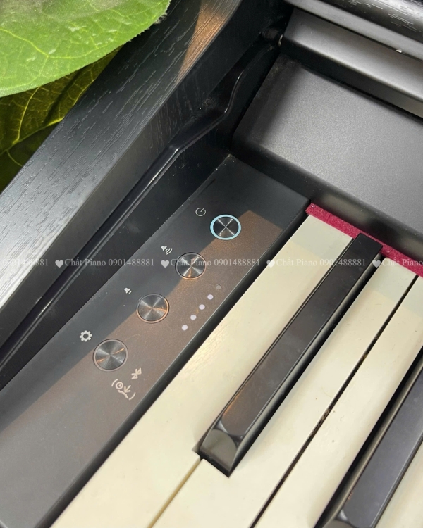 ĐÀN PIANO ROLAND RP701
