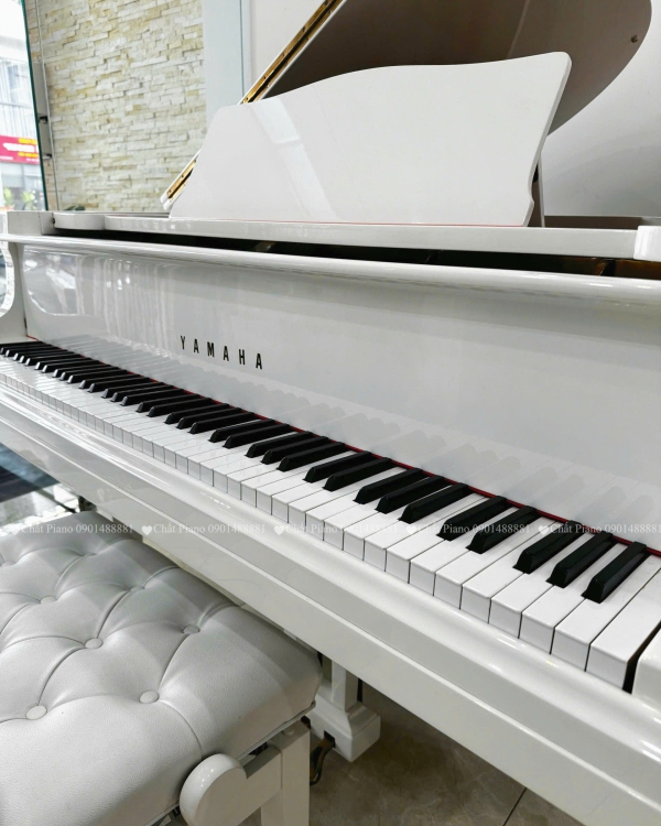 ĐÀN PIANO GRAND G2