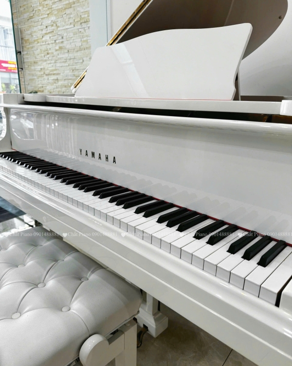 Piano Grand G2